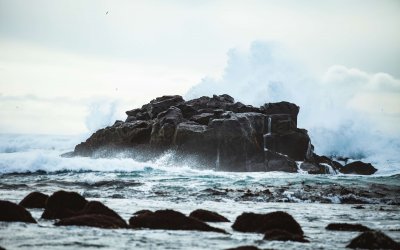 Swimming In Rough Seas